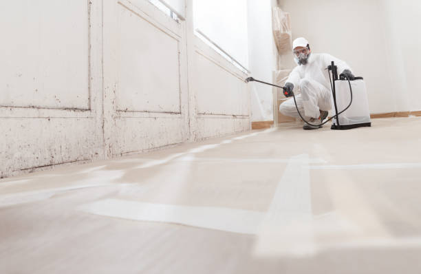 24/7 Emergency Black Mold Remediation experts in Jacksonville, IL